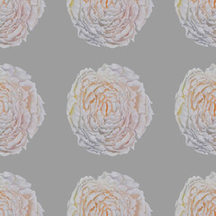 seamless pattern peony flower in white,yellow,orange,gray,lilac spring bud of an open flower