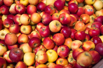 Fototapeta na wymiar viele frische Äpfel in der Draufsicht