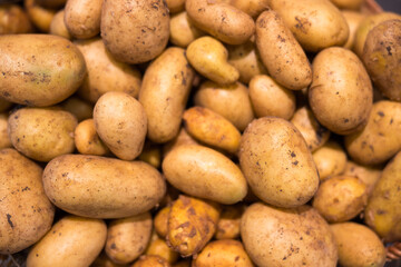 viele frische Kartoffeln in der Draufsicht