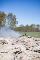 glühende Asche von einem Lagerfeuer oder Osterfeuer
