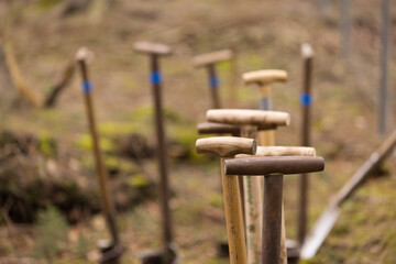 Gartenger&auml;te f&uuml;r eine Baumpflanzaktion