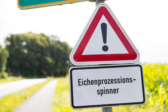 Gefahrenschild Eichen-Prozessionsspinner