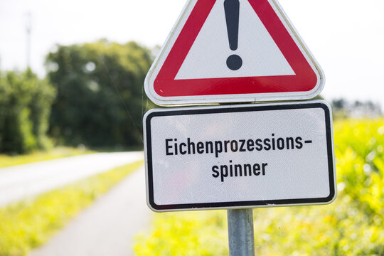 Gefahrenschild Eichen-Prozessionsspinner