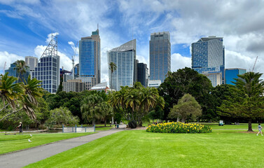 Fototapeta na wymiar Public park with skyscrapers in background in Sydney
