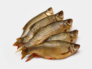 dried rudd isolate on white background
