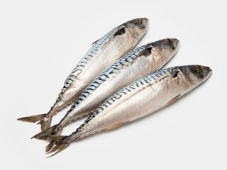 frozen mackerel, ungutted, isolate on a white background