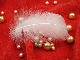 White swan feather lies on the red velvet with pearl beads laying on it