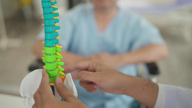 Close up orthopedic, spine model while doctor explaining a back injury to patient at hospital. Doctor shows on spine model for explaining back injury. Medical, Orthopedic, Healthcare concept