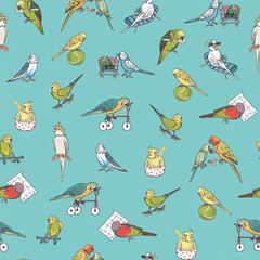 Obraz premium Parrots birds pets vector seamless pattern.
