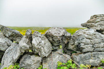 Irish dry-stone wall, built with a variety of stones to separate and protect crop fields as well as create separated fields for livestock grazing.