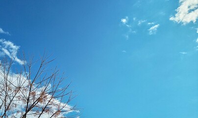 Blue Sky in Beautiful Winter, Natural Weather in Autumn Season, landscape 