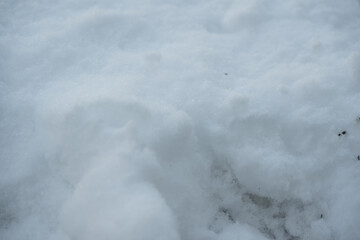 schnee winter frost kalt haufen garten