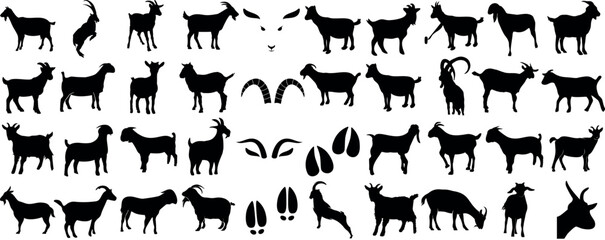 Goat silhouette collection, various goat poses, standing, walking, jumping. Perfect for farm imagery, animal identification graphics, educational content.  distinct, detailed view of goats