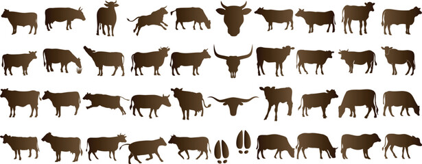 Cow silhouette, various cow poses, black graphics, white background, ideal for farm, dairy, beef advertisements, educational graphics