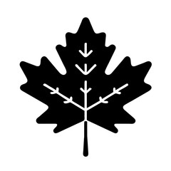 Maple leaf icon vector illustration