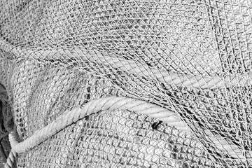 Eclipsed Harvest: Navigating the Abyss of Overfishing and Limited Resources