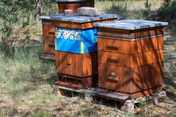 Hives with bees flying around - 739870945