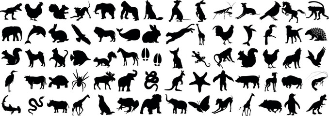 diverse wildlife animal silhouette on dark background. Collection includes elephant, lion, monkey, bird, and more. Perfect for nature, education, and conservation projects - obrazy, fototapety, plakaty