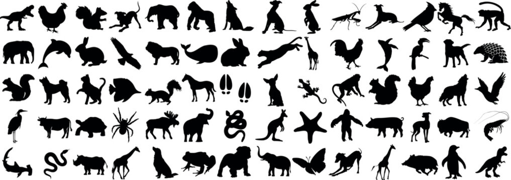 diverse wildlife animal silhouette on dark background. Collection includes elephant, lion, monkey, bird, and more. Perfect for nature, education, and conservation projects