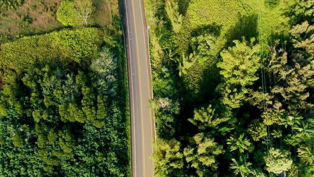 Aerial topdown view of Hana Highway toward to Twin Falls Maiu Waterfall parking, Titl up shot
