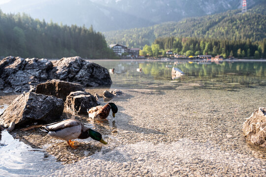 Eibsee