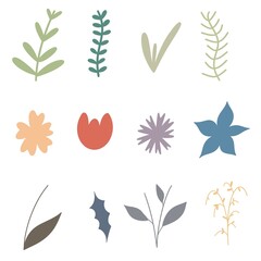 simple boho colors flowers and leafs collection