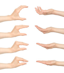 Set of Woman hands with stages of holding gestures, isolated on transparent background