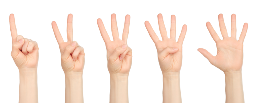 Set of Woman hands with different gestures, isolated on transparent background