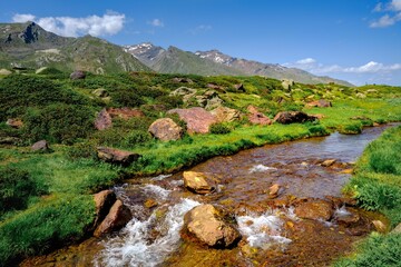 Alpine panorama with a small river during the summer in the South Tyrol