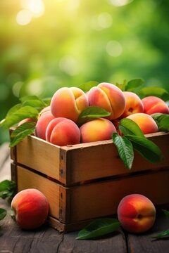 fresh peach in a wooden box
