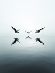 Obraz premium Flock of seagulls