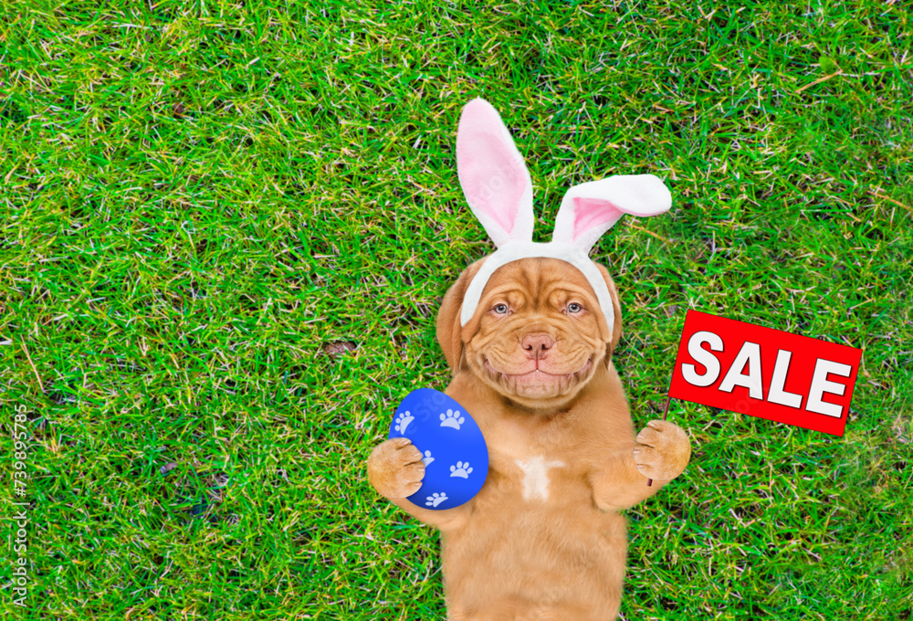 Poster Smiling Mastiff puppy wearing easter rabbits ears shows signboard with labeled 