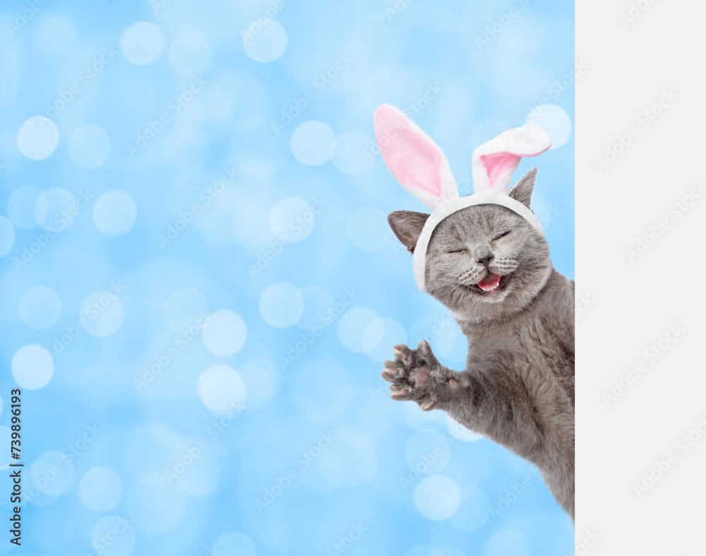 Poster happy kitten wearing easter rabbits ears looks from behind empty white banner on blurred green backg