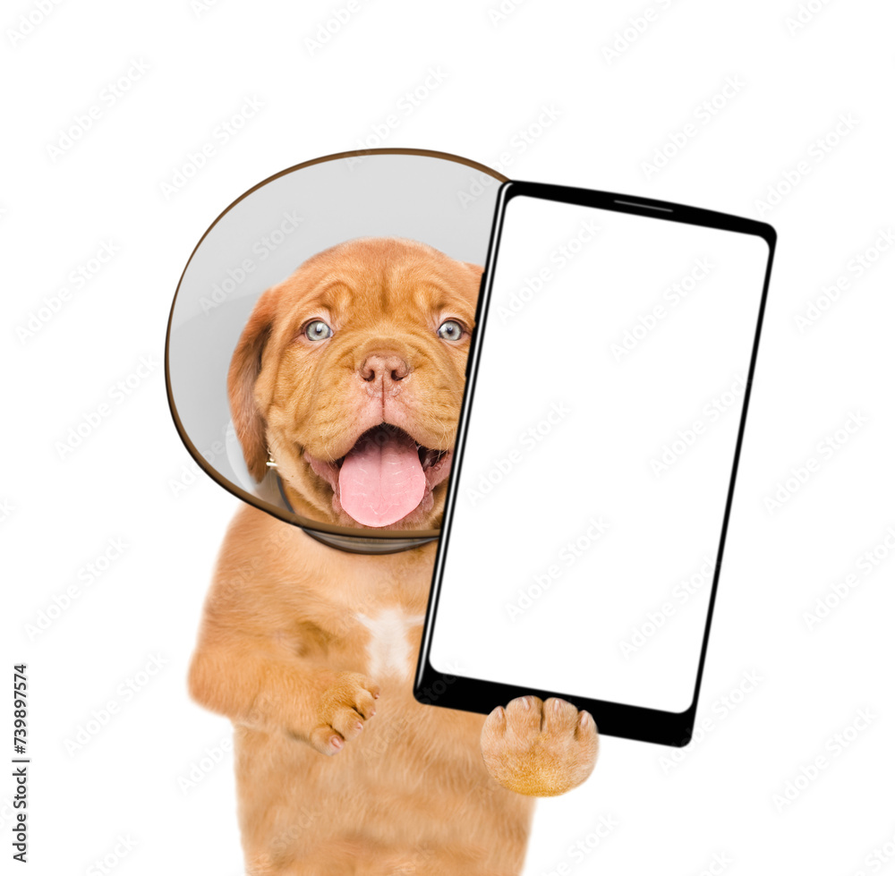 Poster happy mastiff puppy with protective cone collar on her neck shows big smartphone with empty screen. 