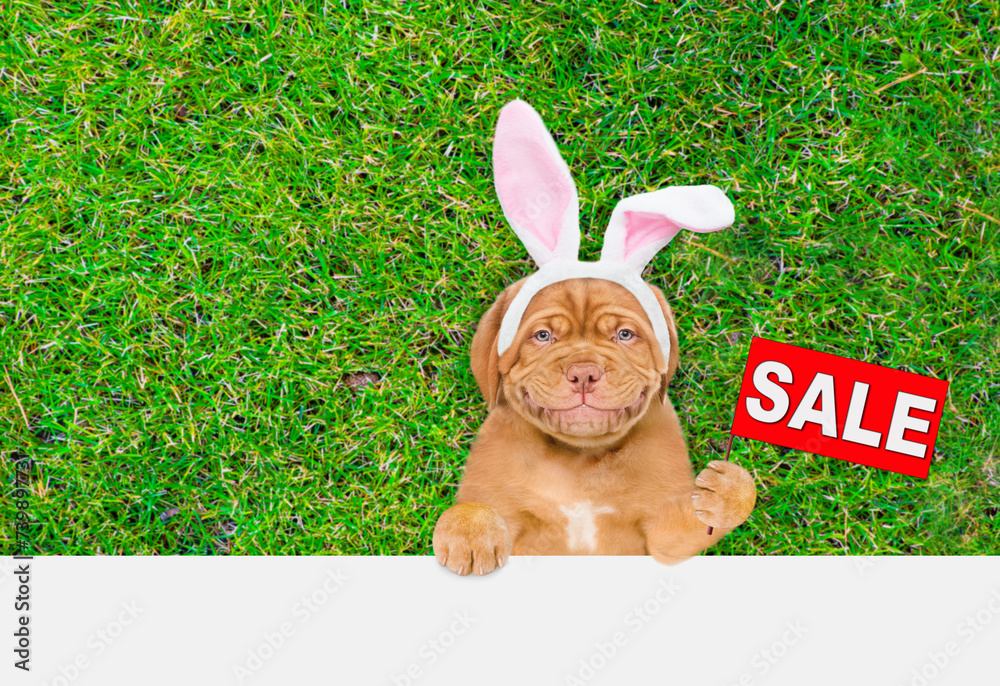 Poster Smiling Mastiff puppy wearing easter rabbits ears shows signboard with labeled 