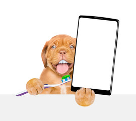 Mastiff puppy with funny big teeth holds the toothbrush with toothpaste and holds big smartphone...