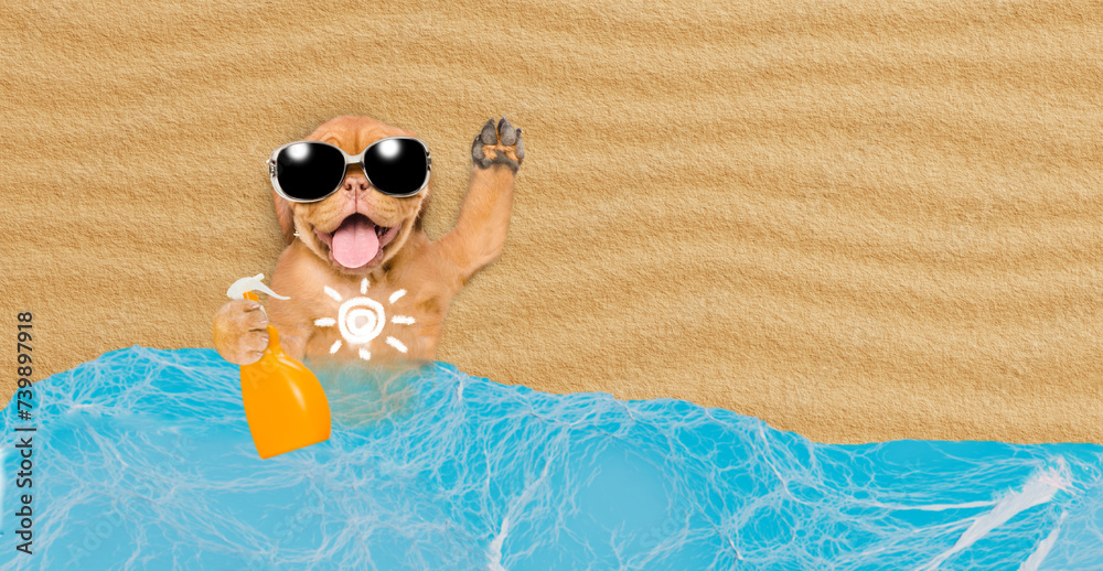 Poster happy mastiff puppy wearing sunglasses lying at sunny beach and applying suntan lotion or sun block.