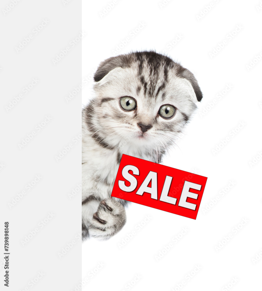 Poster Funny kitten holds sales symbol  behind empty white banner. Empty space for text. Isolated on white background