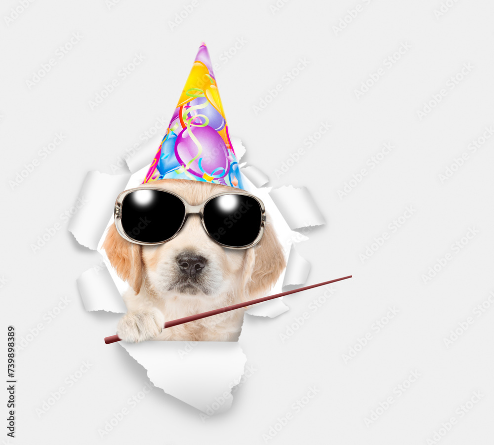 Poster golden retriever puppy wearing party cap looking through the hole in white paper and points away on 