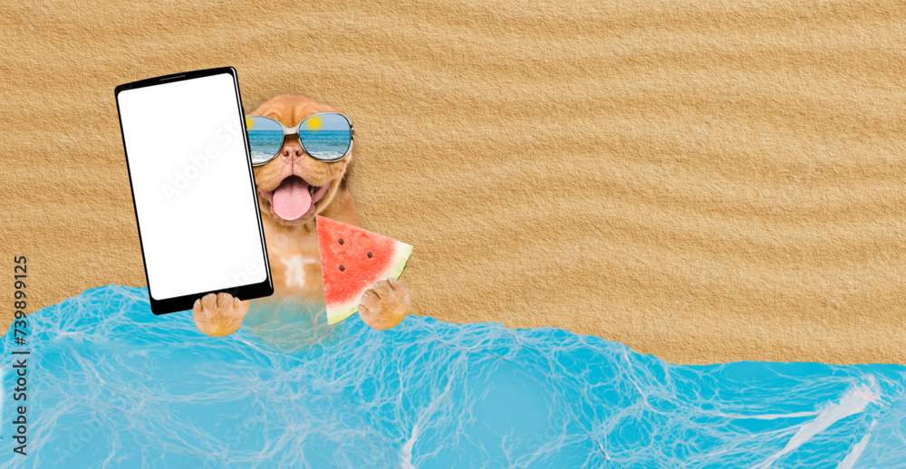 Poster funny mastiff puppy wearing mirrored sunglasses lying at beach holding watermelon and showing big sm