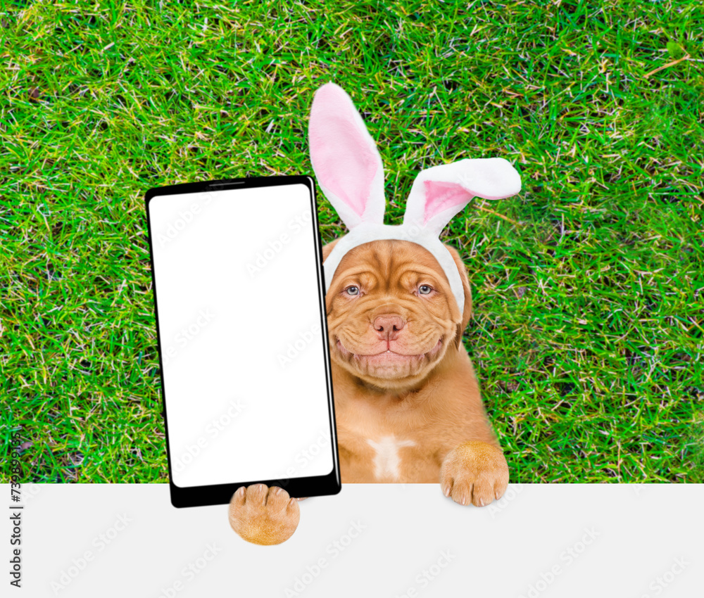 Aufkleber Smiling Mastiff puppy wearing easter rabbits ears holds big smartphone with white blank screen in it paw above empty white banner.  Empty space for text