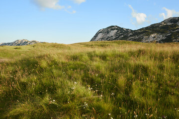 Fototapeta premium Serene green slopes ascend towards a clear sky, hinting at the majesty of the mountainous terrain. The lush grasses and stratified rock formations invite adventure and exploration