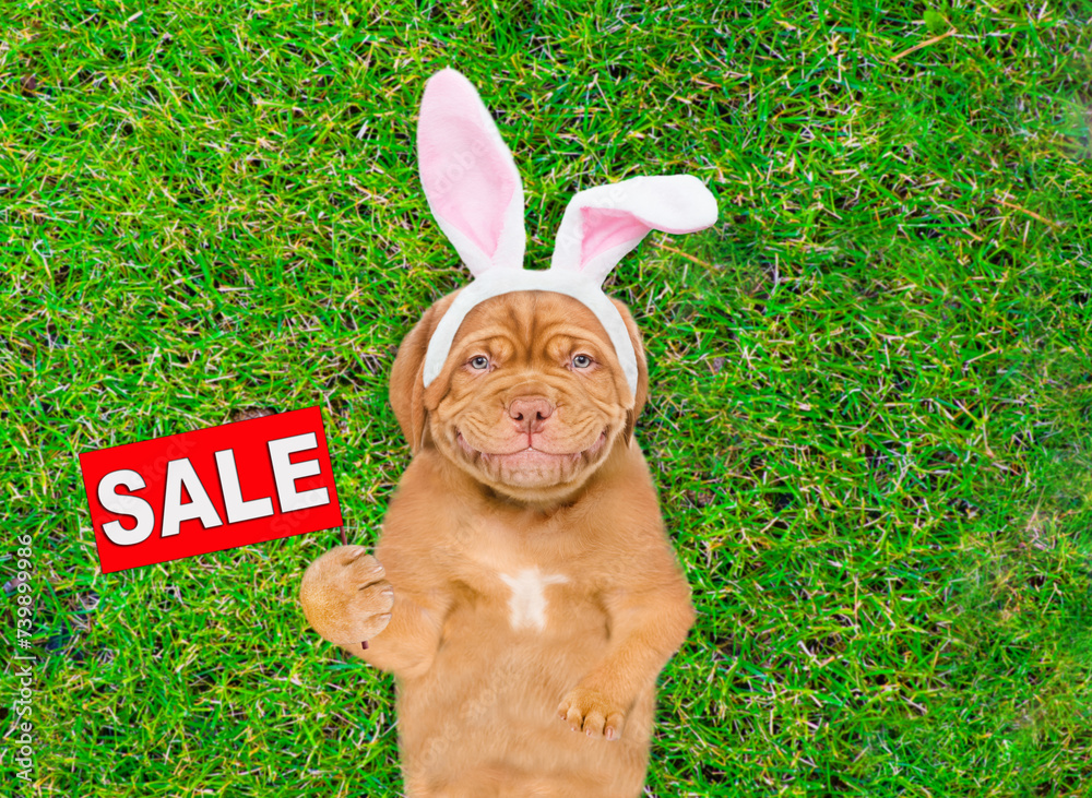 Poster smiling mastiff puppy wearing easter rabbits ears shows signboard with labeled 