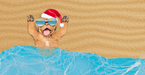 Happy Mastiff puppy wearing sunglasses and red santa hat lying on sandy tropical beach at ocean....
