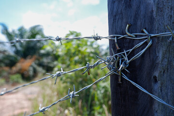 selective focus on an old and rusty barbed wire fence