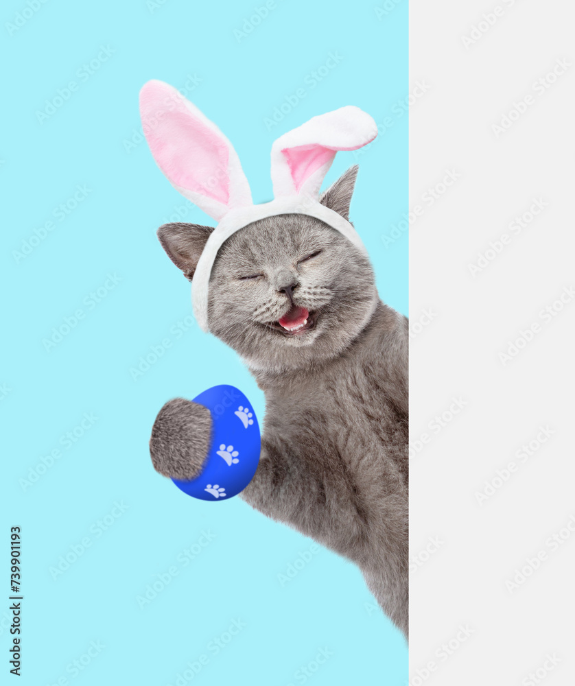 Poster happy kitten wearing easter rabbits ears holds colorful easter egg and looks from behind empty white