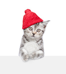 Cute kitten wearing warm winter knitted woolen hat with pompon holds snowball above empty white banner. Isolated on white background
