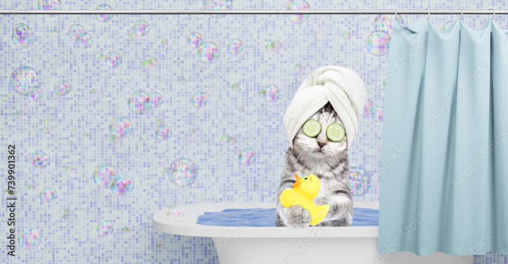 Aufkleber Cute kitten with towel on it head, with pieces of cucumber on it eyes and with cream on it face takes the bath at home with rubber duck. Empty space for text