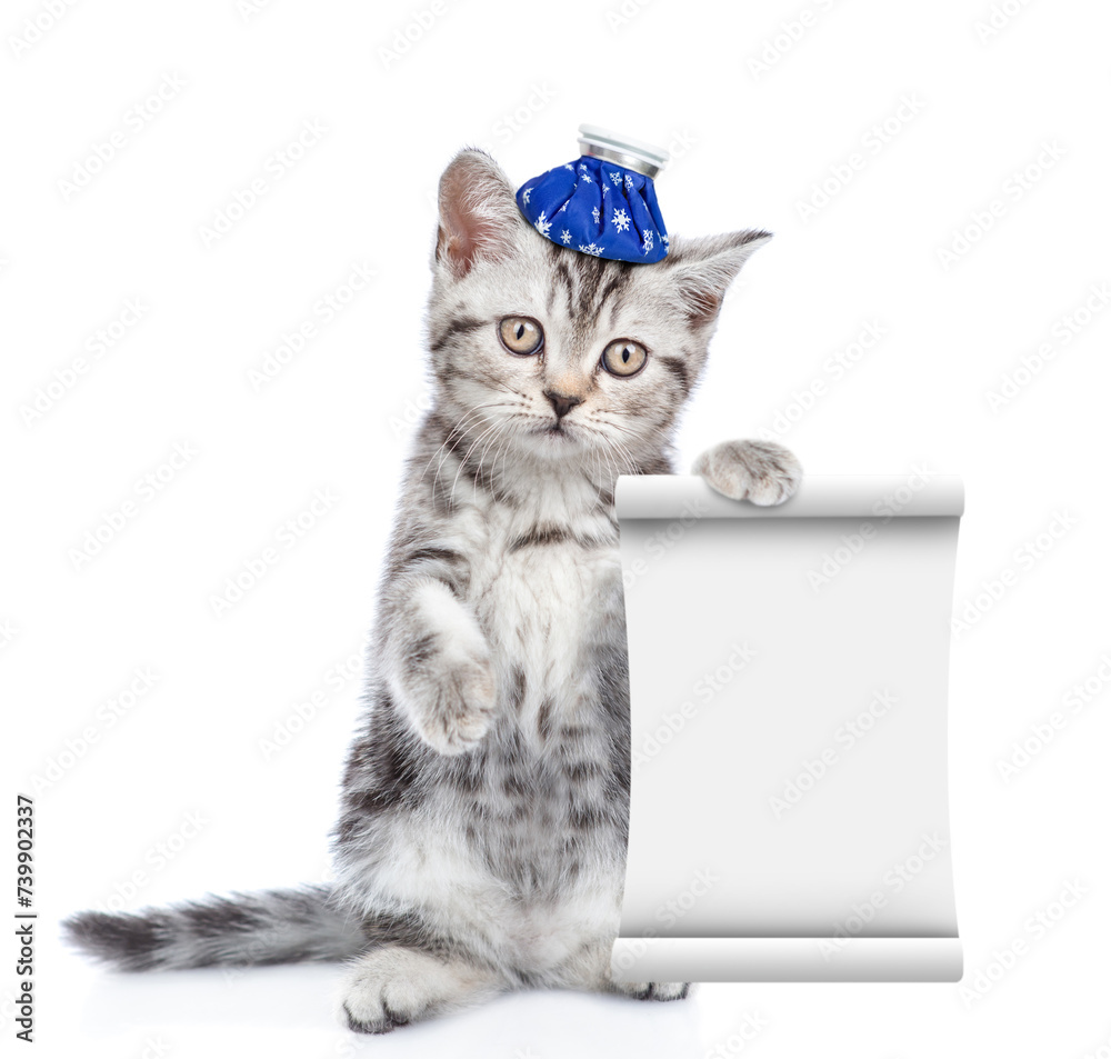 Poster sad sick kitten with ice bag or ice pack on his head shows empty list. isolated on white background