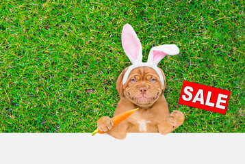 Smiling Mastiff puppy wearing easter rabbits ears holds carrot and shows signboard with labeled "sale" above empty white banner. Empty space for text
